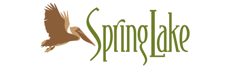 Spring Lake Skilled Nursing & Rehabilitation